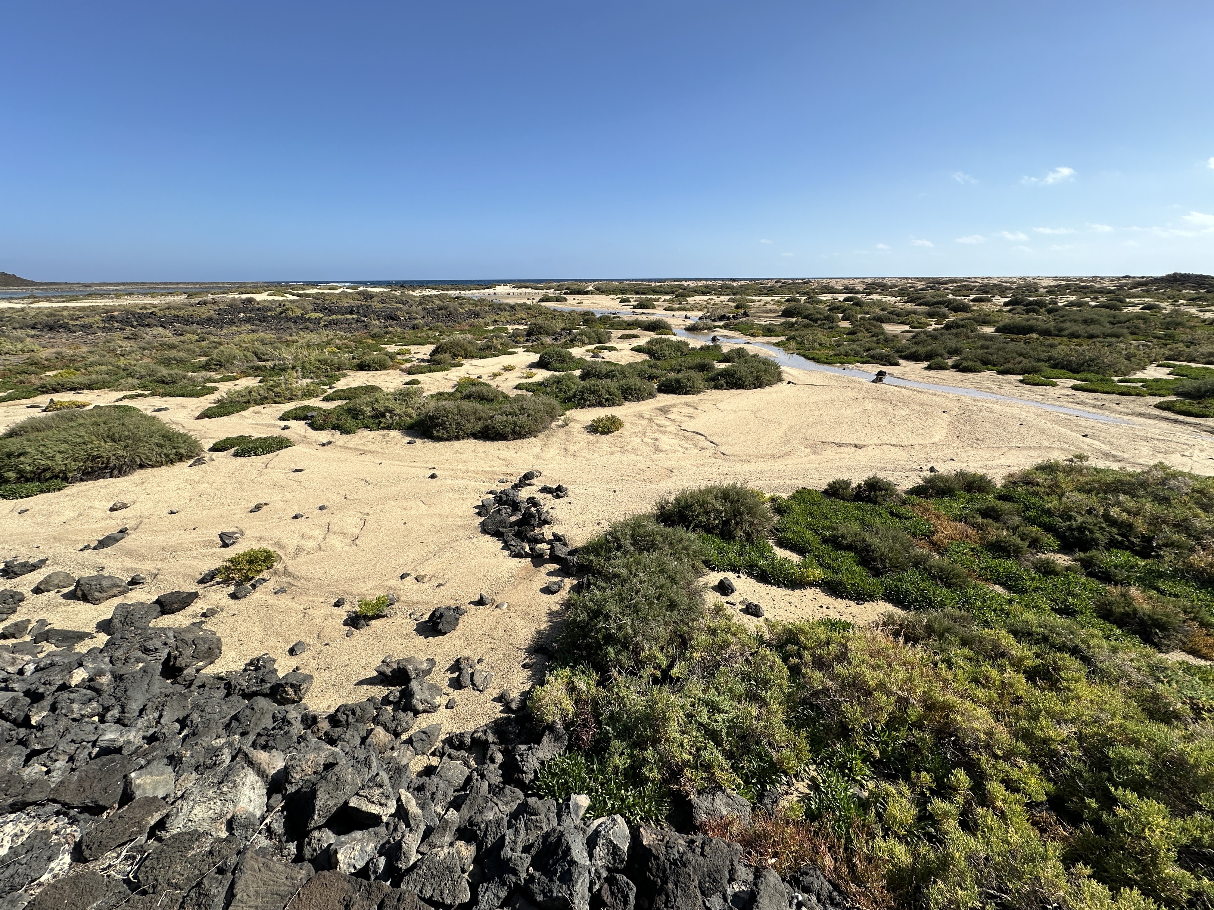 The flat sandy interior of Isla de Lobos — scrubby vegetation and sand dunes stretching toward the sea