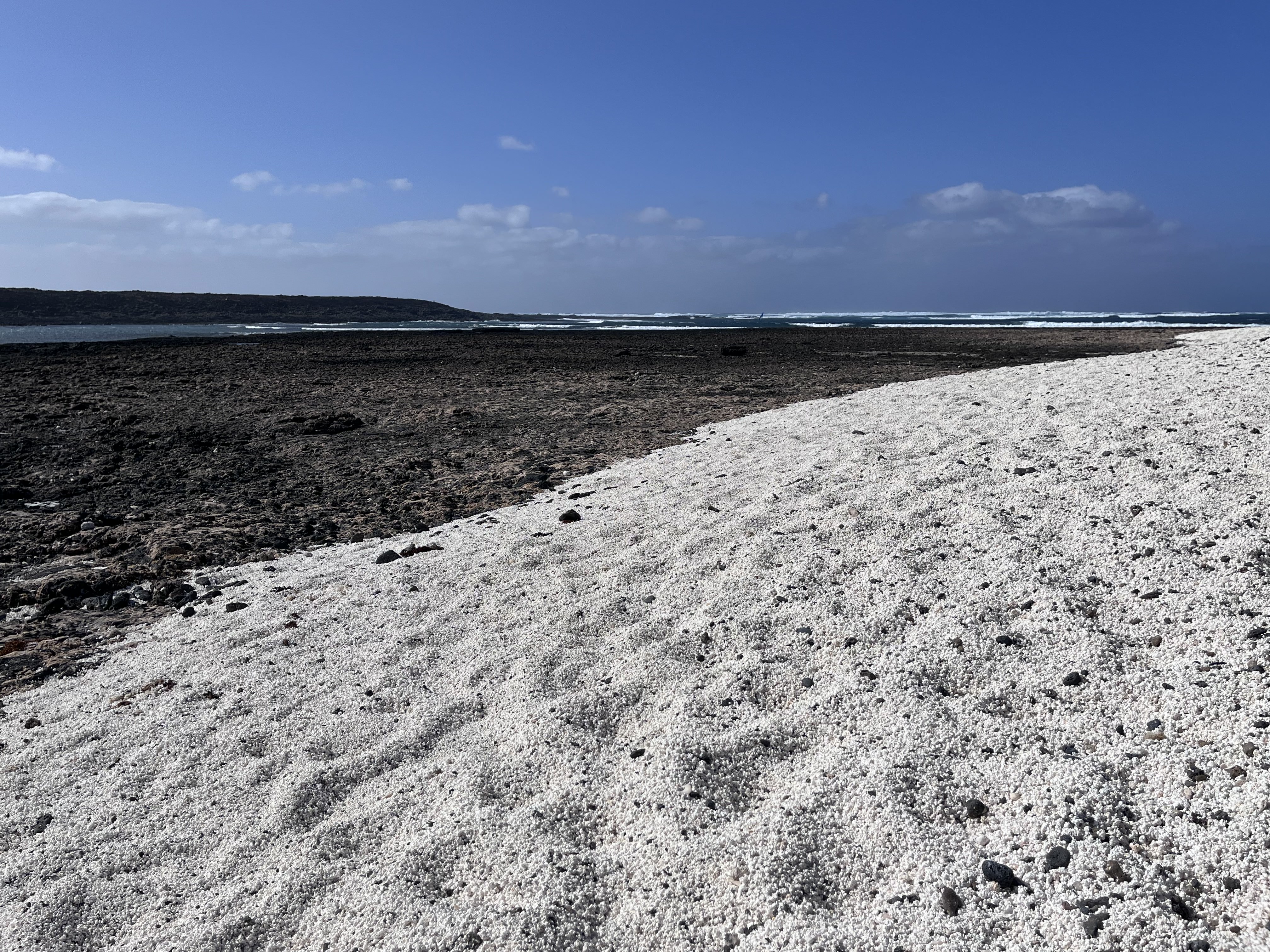 The extraordinary white crushed-shell shore at Majanicho, meeting dark volcanic rock — Atlantic waves visible breaking in the distance